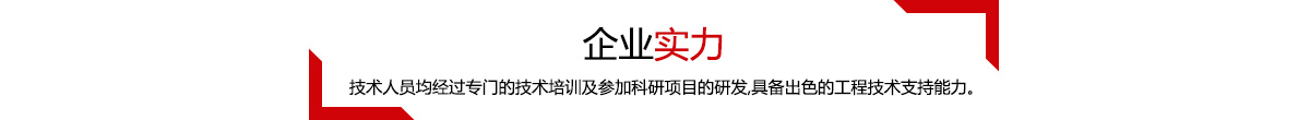 企业实力，我们的每一位技术人员均具备出色的专业技能。